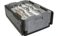 Caja Aislante Plegable Overath Flip Box BIG 39 Litros -Artículos Para El Hogar 120016 2250319