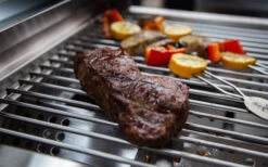 Grillfürst G201E, Parrilla De Gas Portátil De Acero Inoxidable, Incluye Bolsa De Transporte -Artículos Para El Hogar 385886 2835557