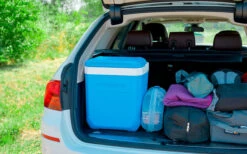 Nevera Campingaz Icetime Plus 30 Litros 12 Nevera Campingaz Icetime Plus 30 Litros -Artículos Para El Hogar 415869 3019628