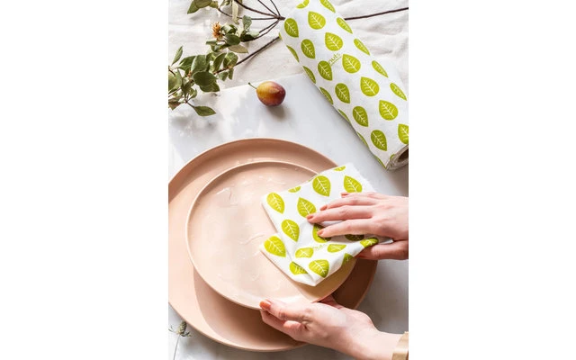 Nuts Innovations Rollo De Papel De Bambú 40 Hojas 7 Nuts Innovations Rollo De Papel De Bambú 40 Hojas - Imagen 5