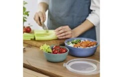 Rotho Tresa Bowl Con Tapa 0,35 Litros Verde Azul 13 Rotho Tresa Bowl Con Tapa 0,35 Litros Verde Azul -Artículos Para El Hogar 443918 3180293 1