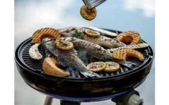 Barbacoa Cadac Carri Chef 50 -Artículos Para El Hogar 511064 3571555